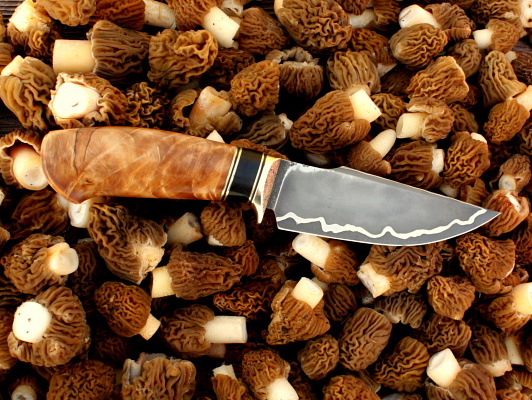 Hunting kitchen knife (2/11)