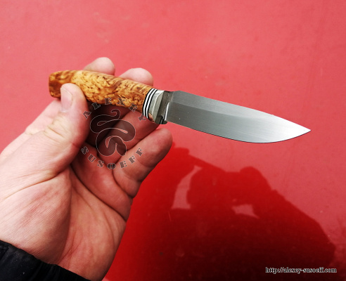 Kitchen vegetable knife. (10/23)