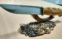 birch knife