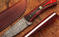 Custom Handmade DAMASCUS KNIFE With Leather Cover-Paka WOOD